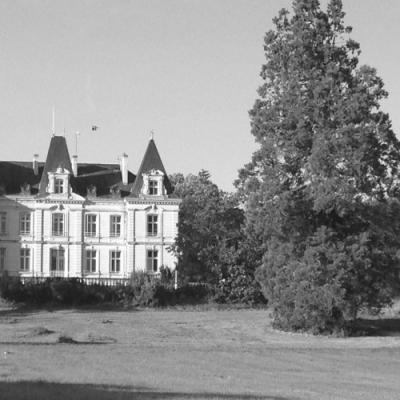 Les pièces du château