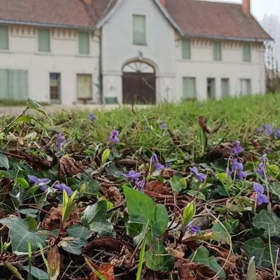 Gîte 'Les Erables
