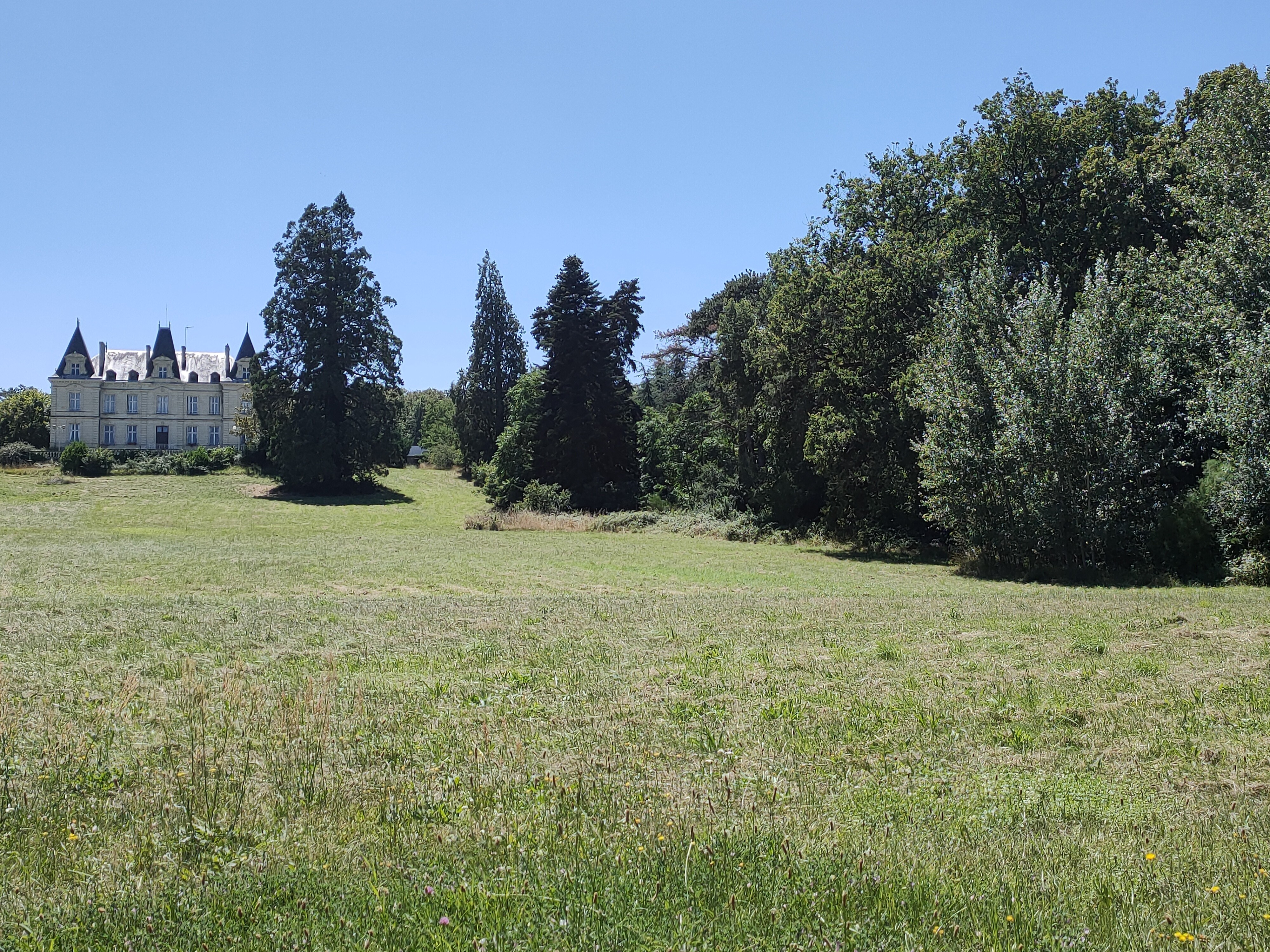 Parc et bois