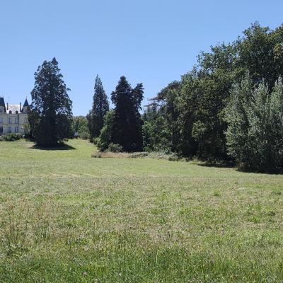 Parc et bois