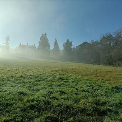 Le parc et extérieurs